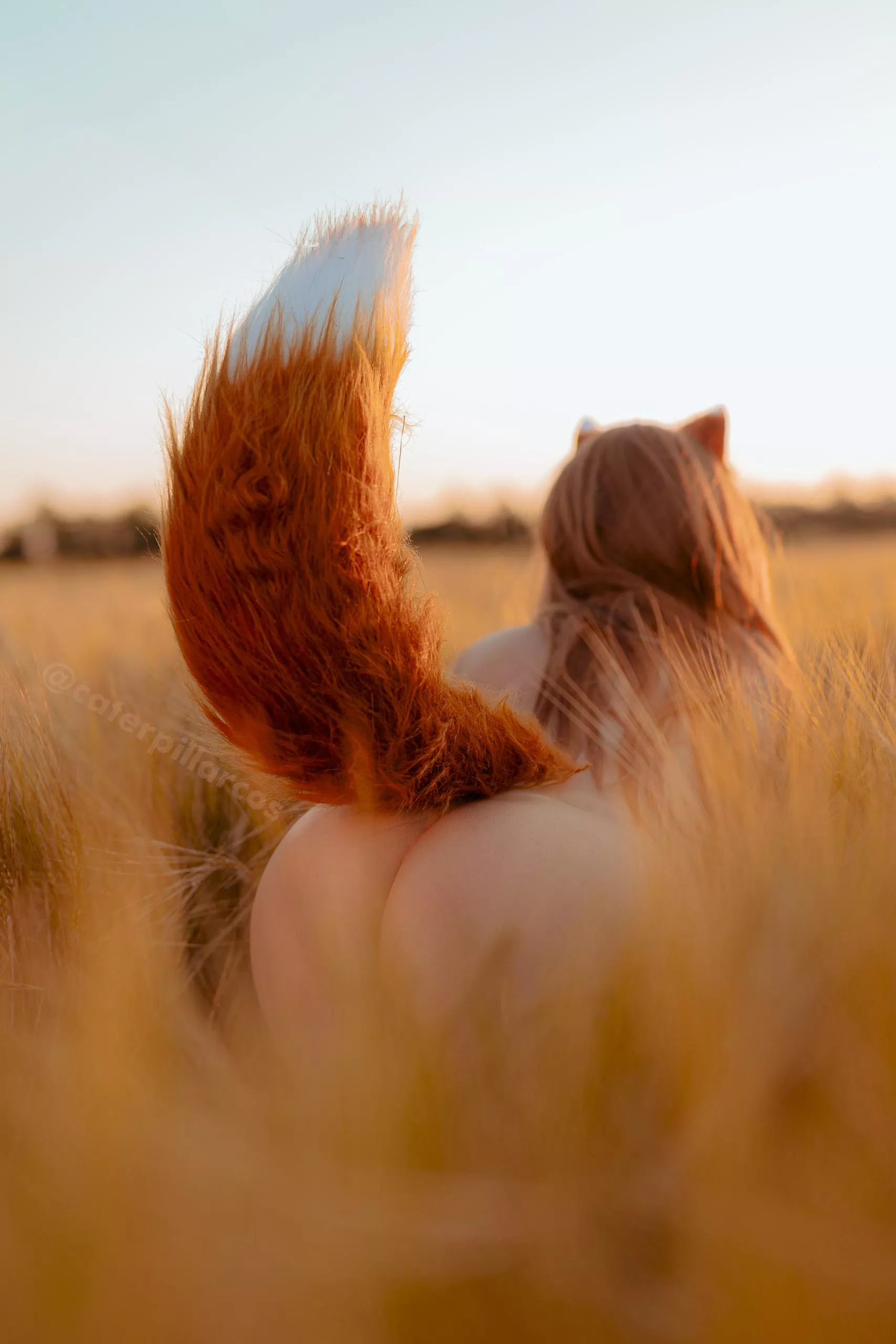 Holo from [Spice and Wolf] by Caterpillar_Cosplay