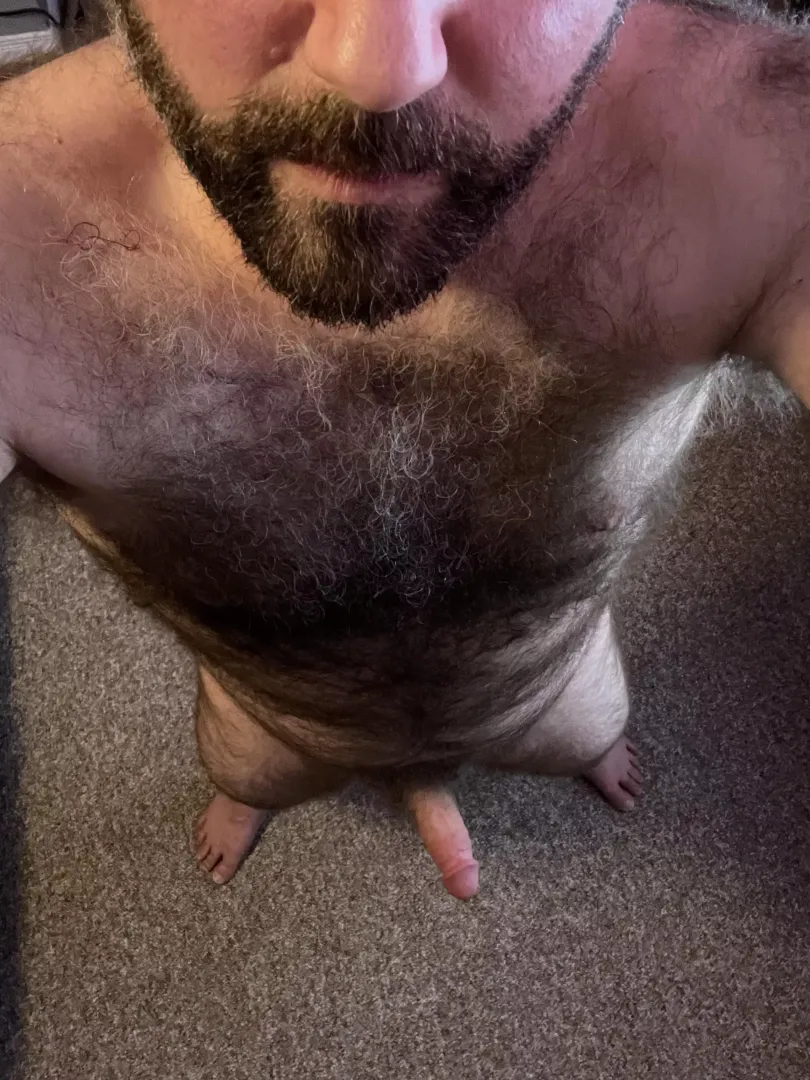 Hope you like it [40]