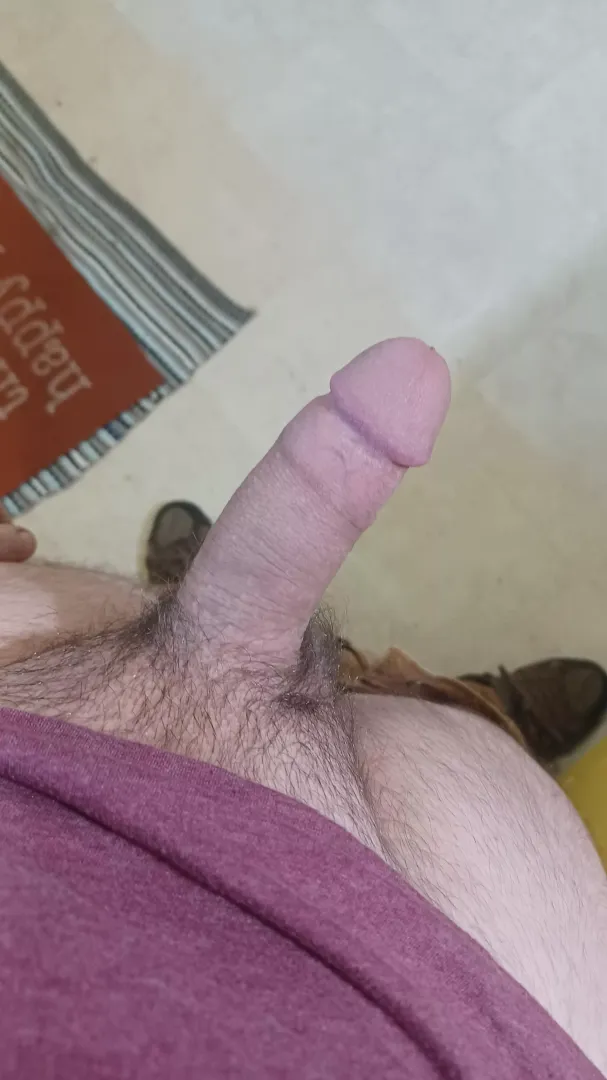 horny all day