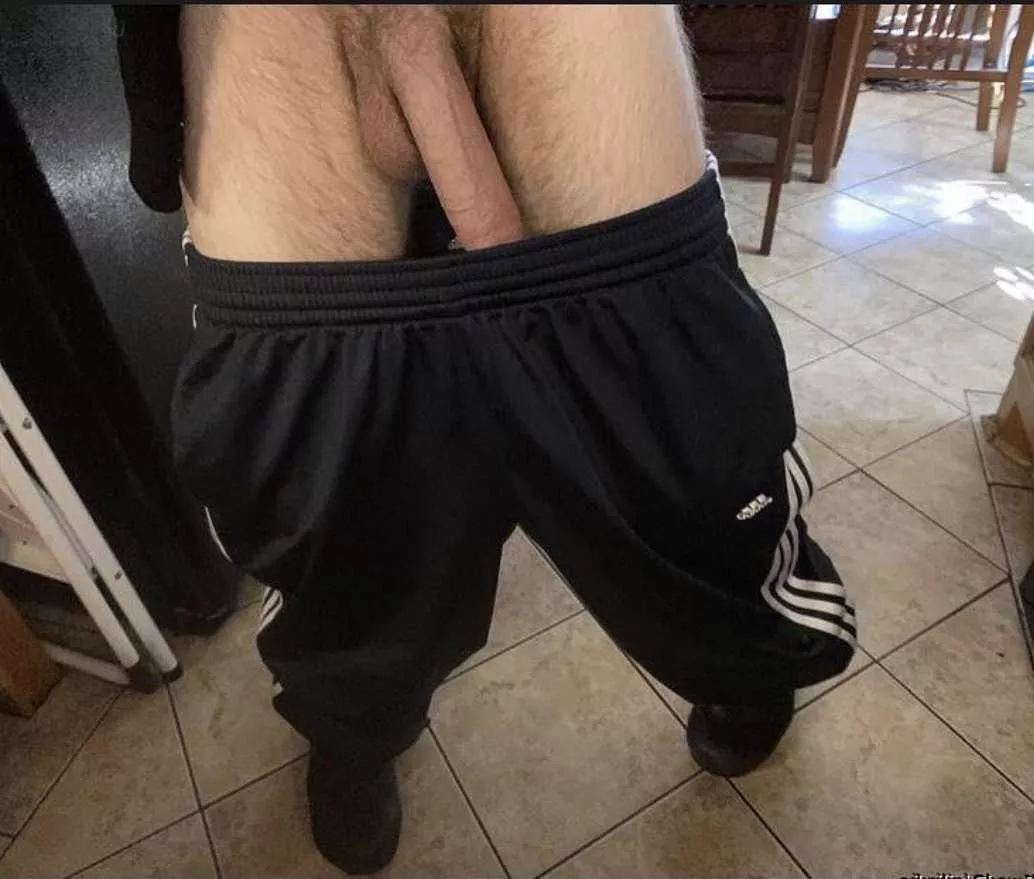 Horny bwc