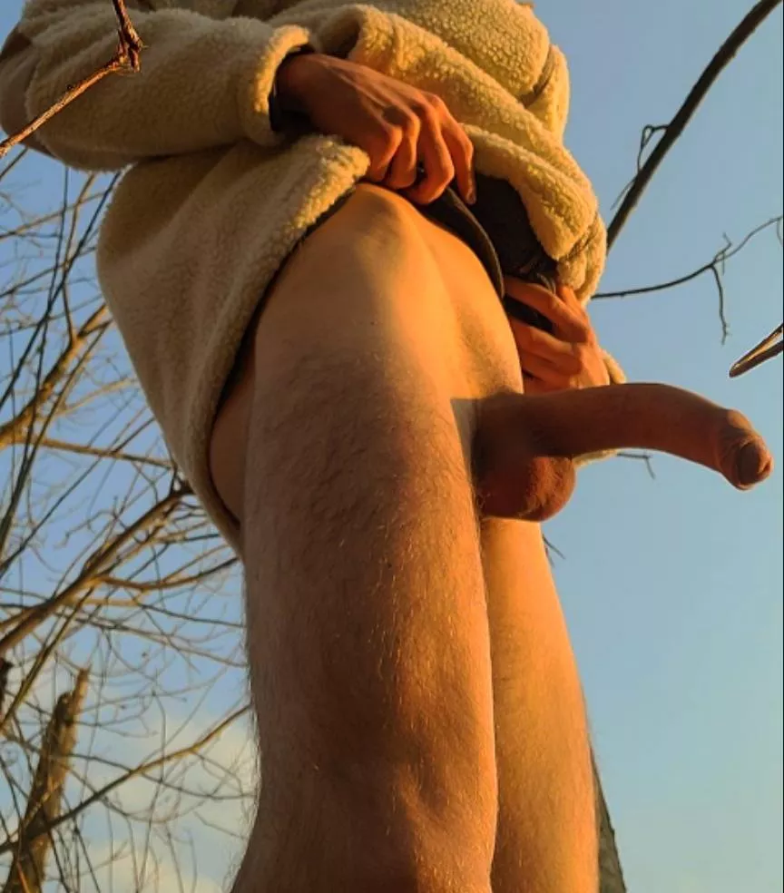 horny in the garden