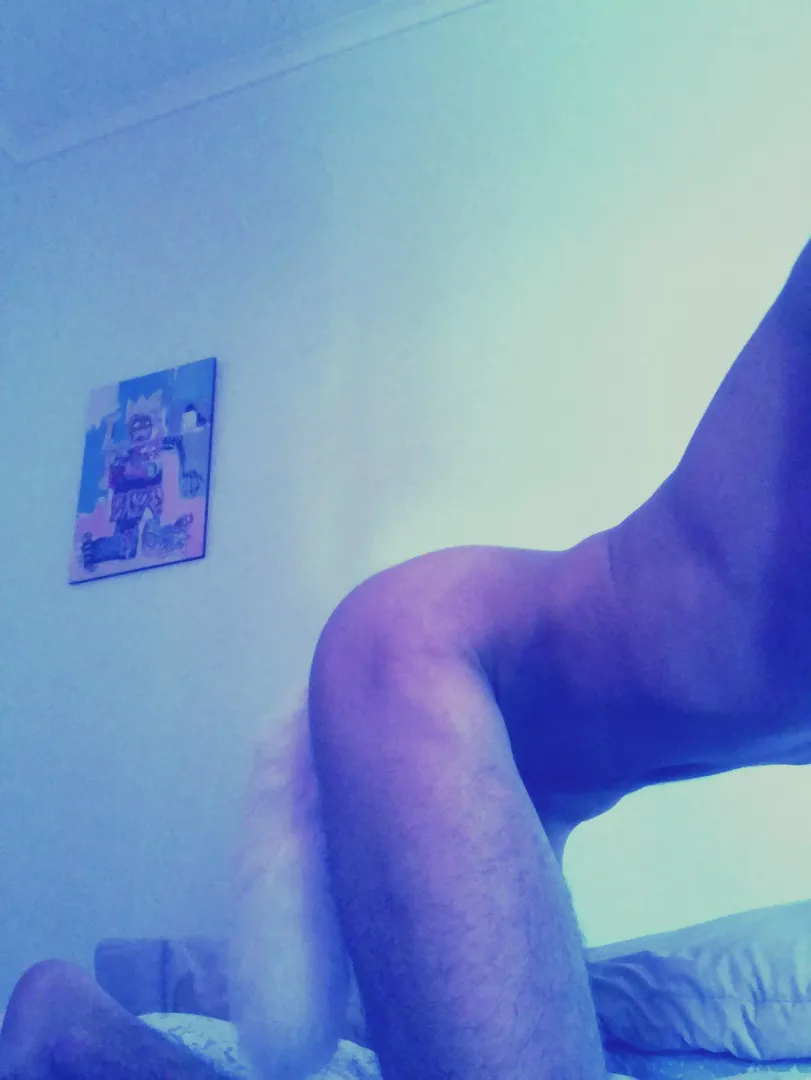 Horny little kitten
