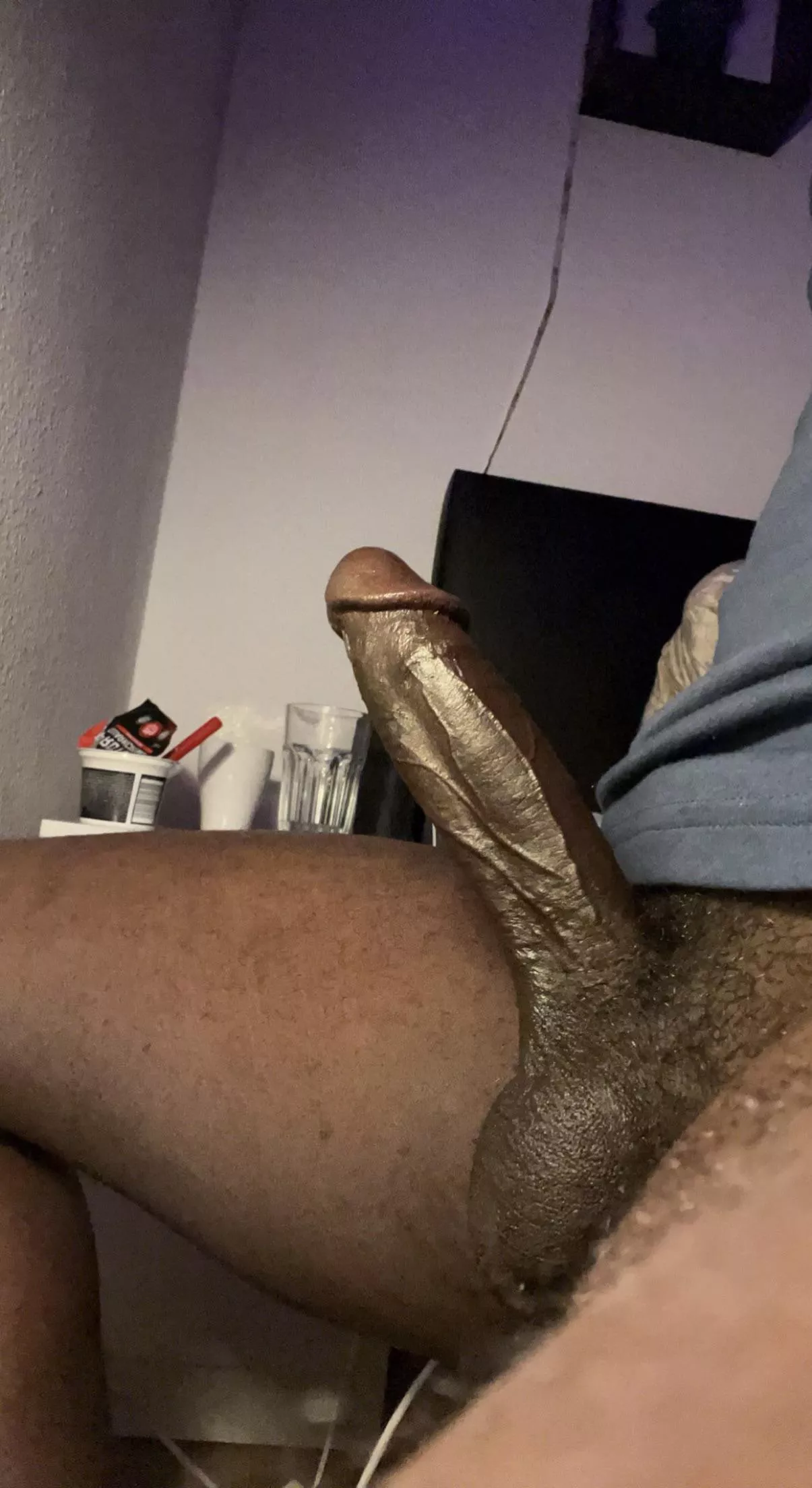 Horny young bull