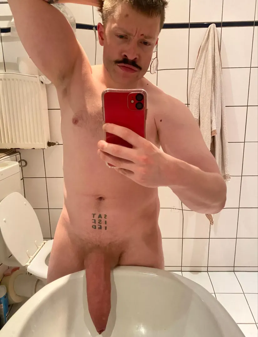 horse cock for greedy sluts - anyone?