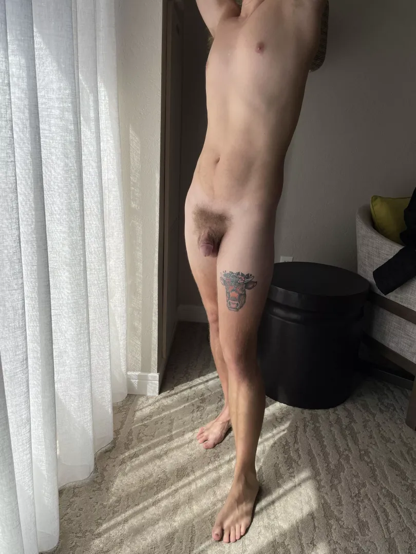 Hotel softie