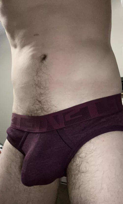 How are the briefs looking?
