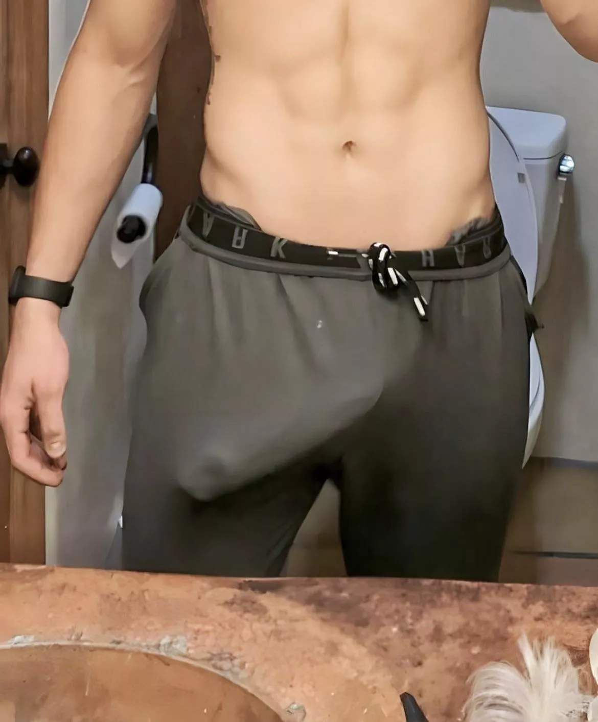 How big do you think it is?