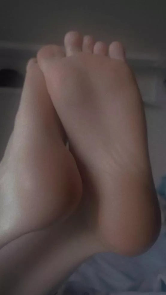 How do they look?