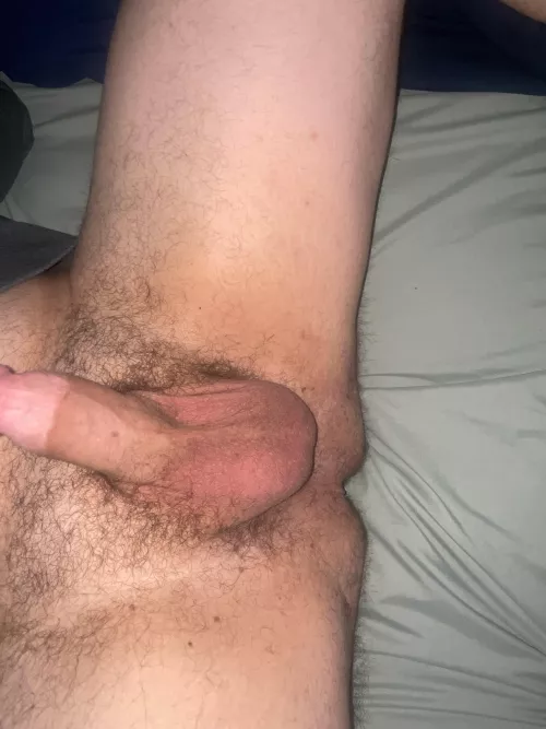 how do they look?