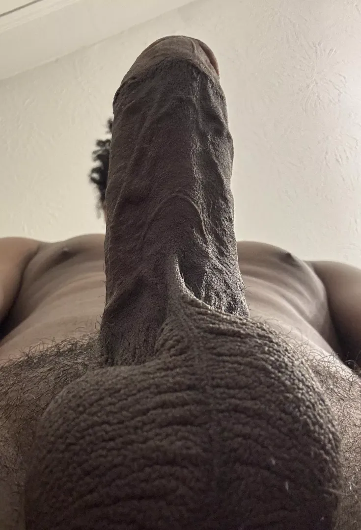 How do you like your view?