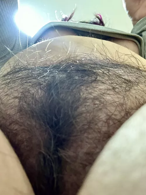 How do you prefer the bush... trimmed or wild? 