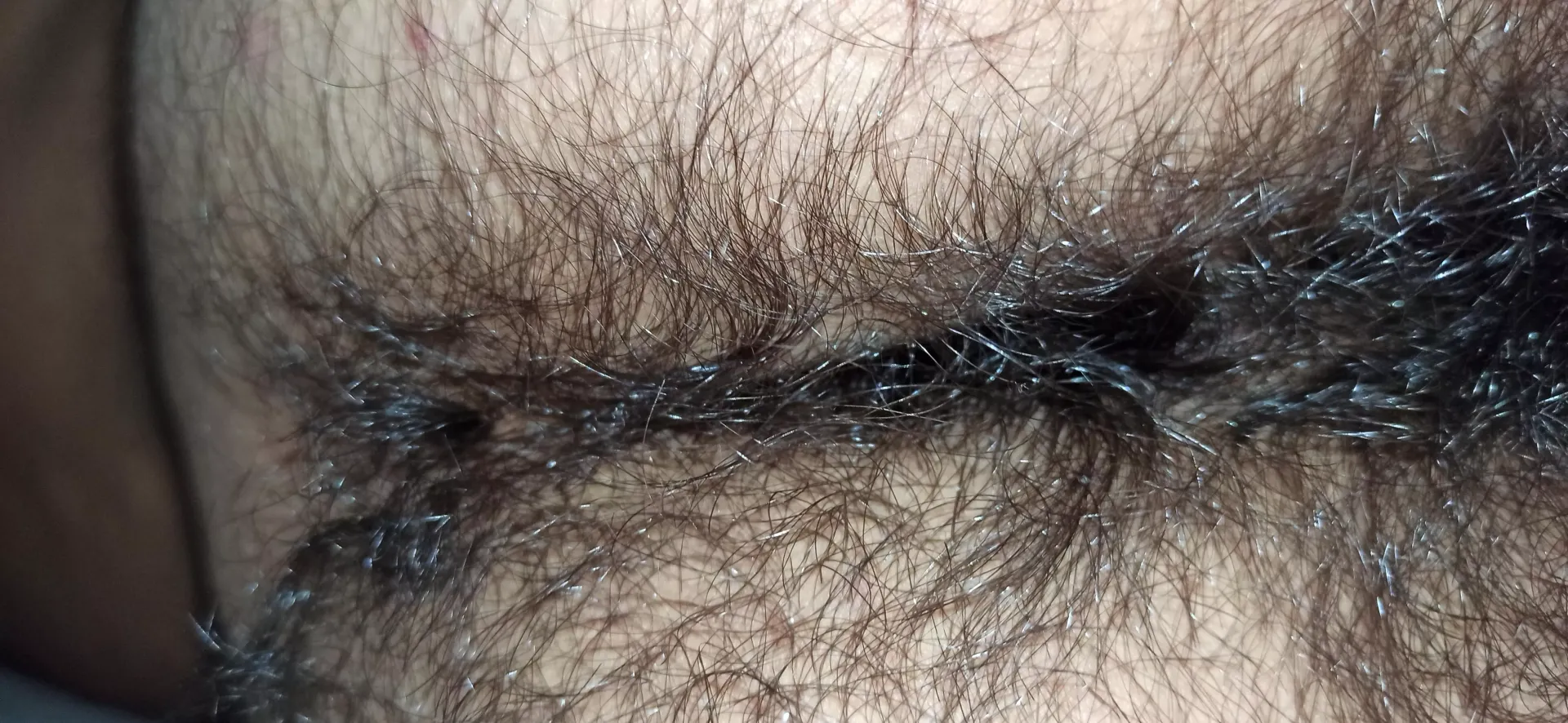 How does it look?