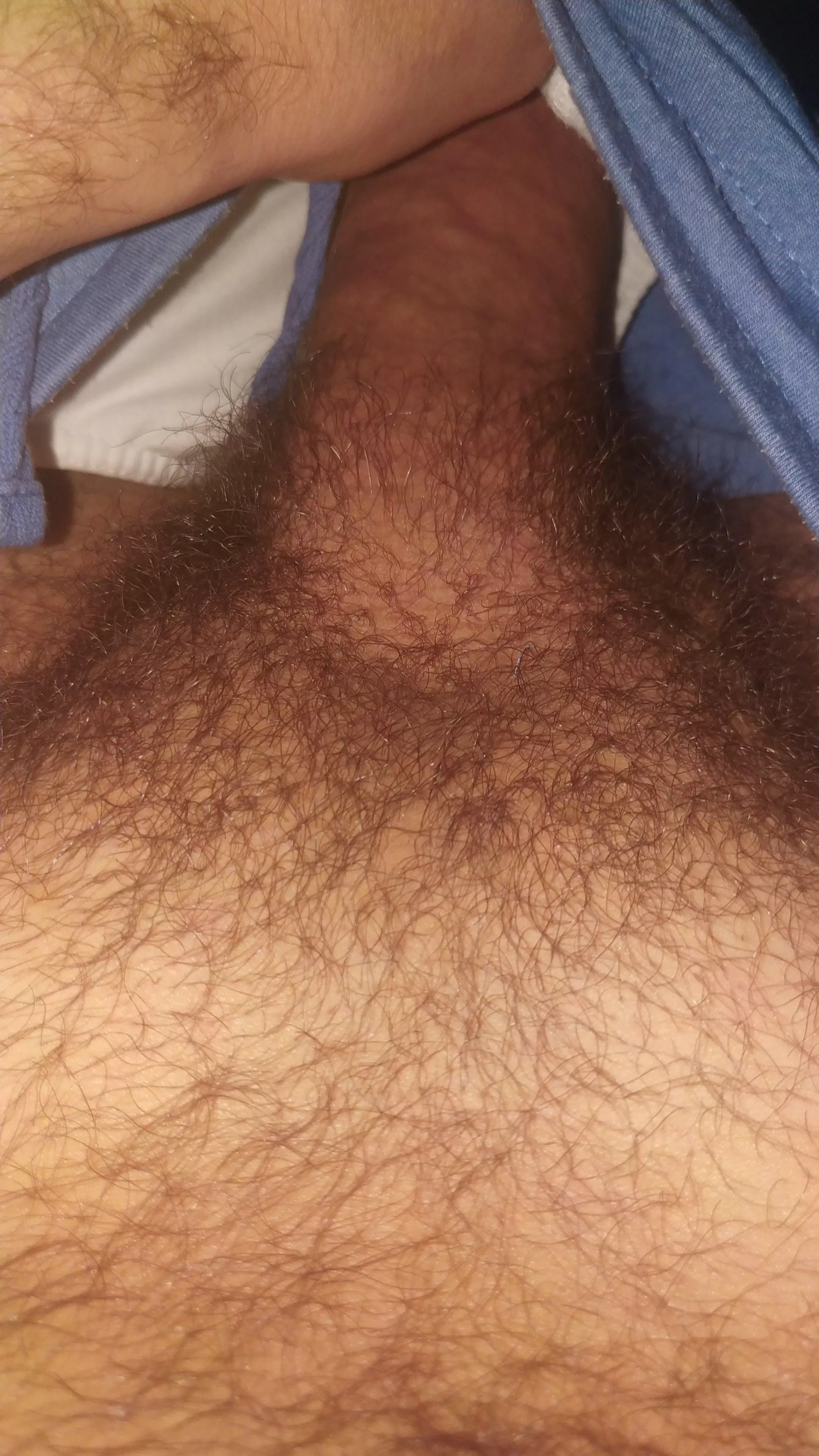 how is my pubic?