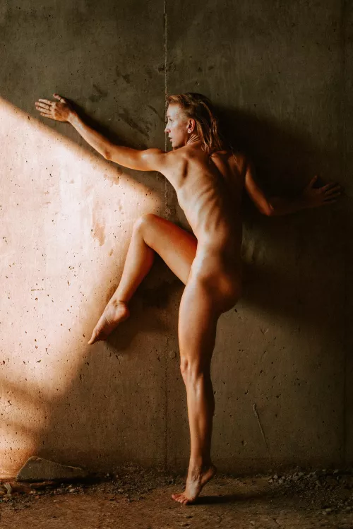 How many can you count...