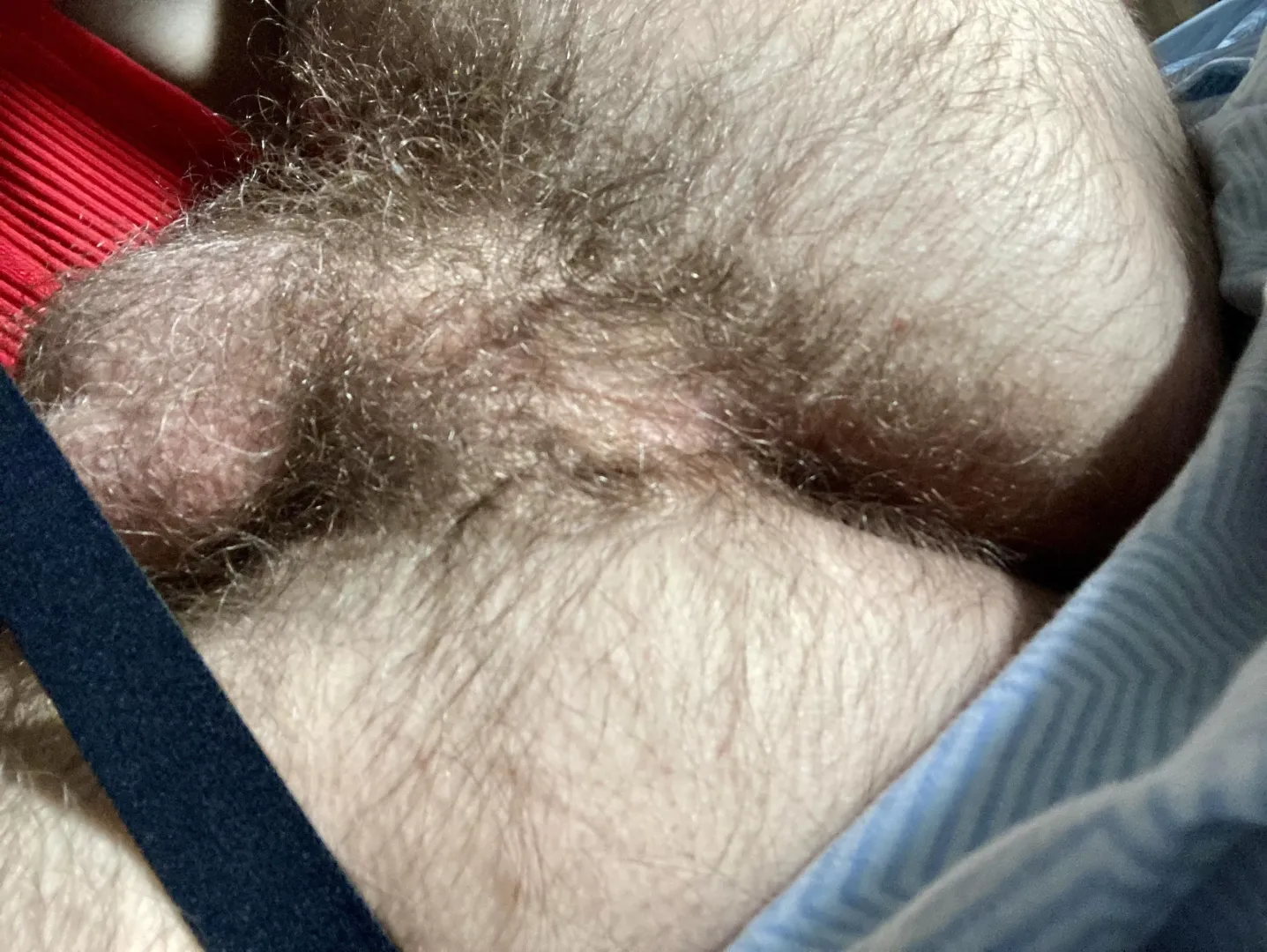 How much hair do you want ?