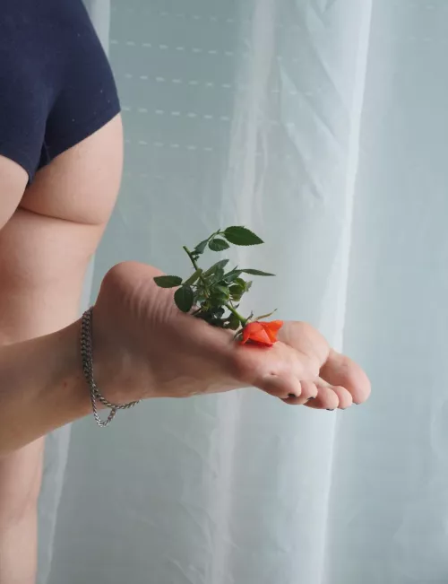 how nice of me to always bring flowers for you 😘