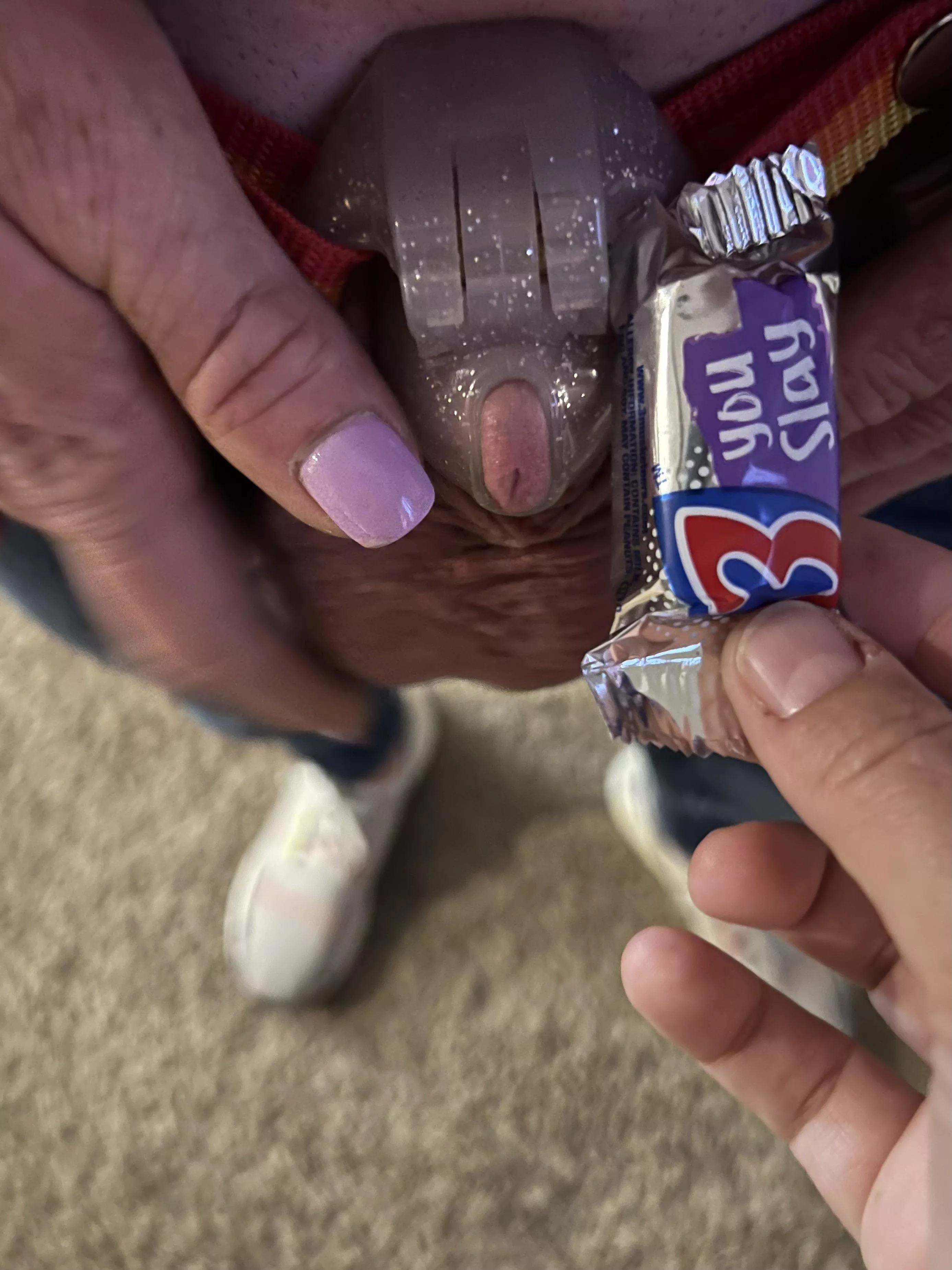 How tiny is my sissy husband 🤷🏼‍♀️ 🤏🏻🤭 I don’t think it can slay anything!