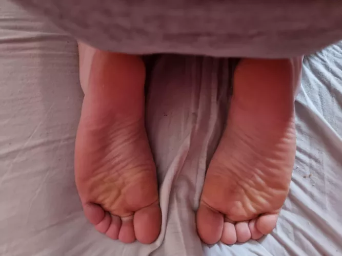 How would you tickle these? Tell me/show me in the comments, make it good