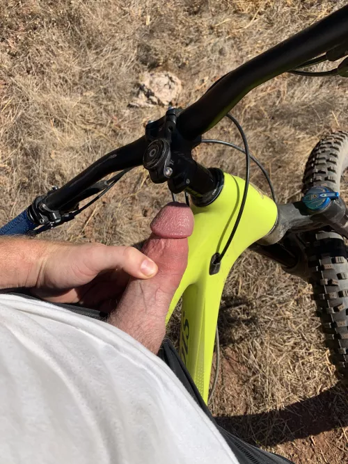 How you doin on this beaut of a Sunday