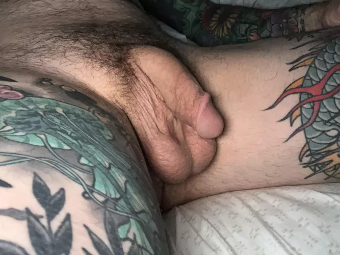 Howdy 