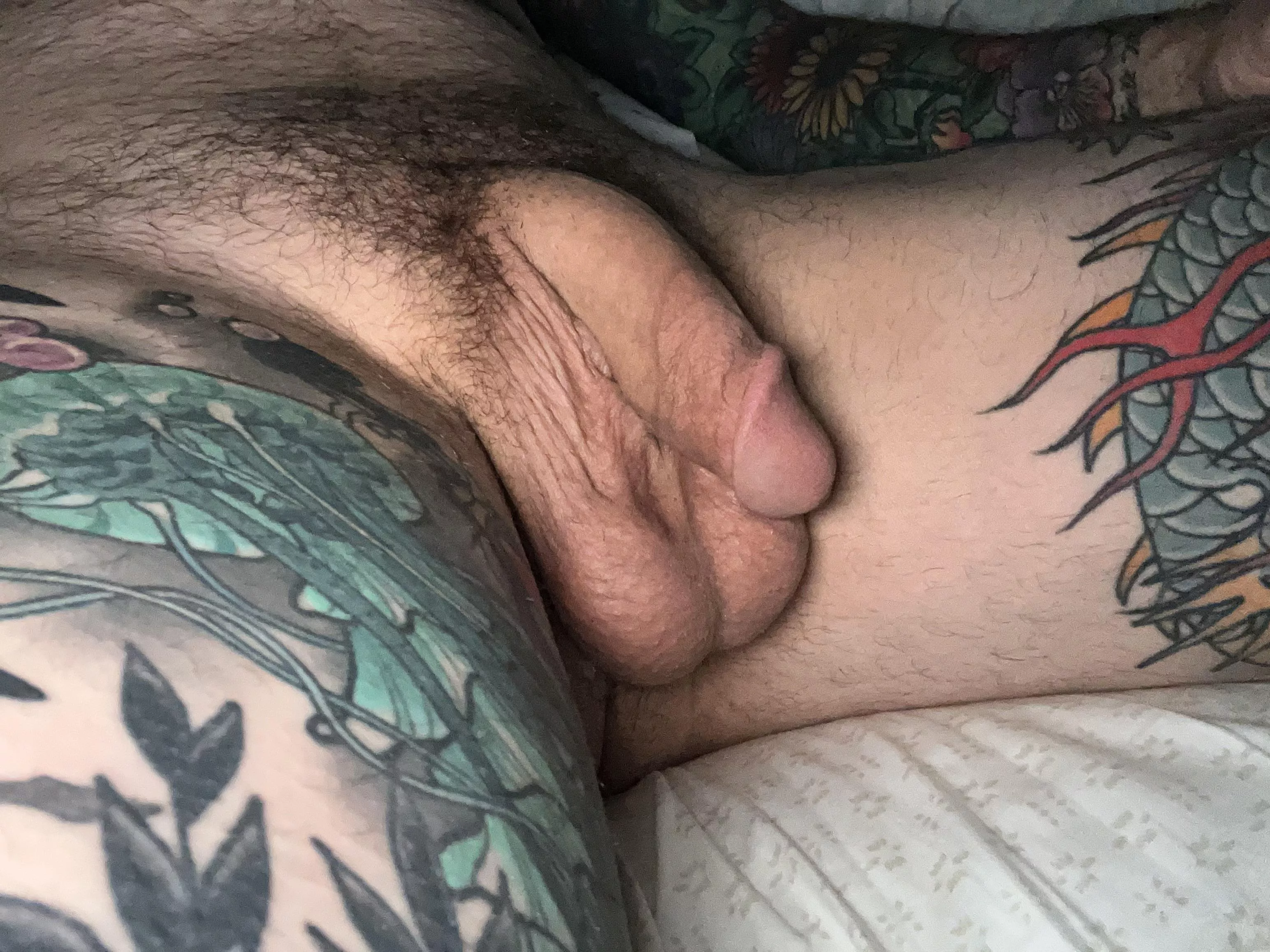 Howdy 