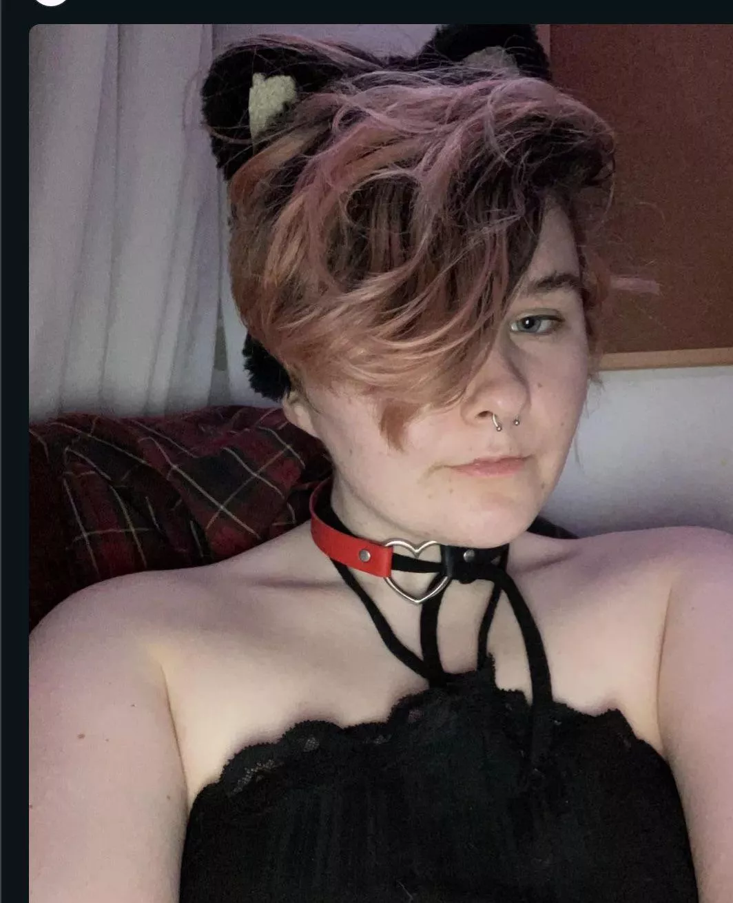 Howdy 🤠🐾