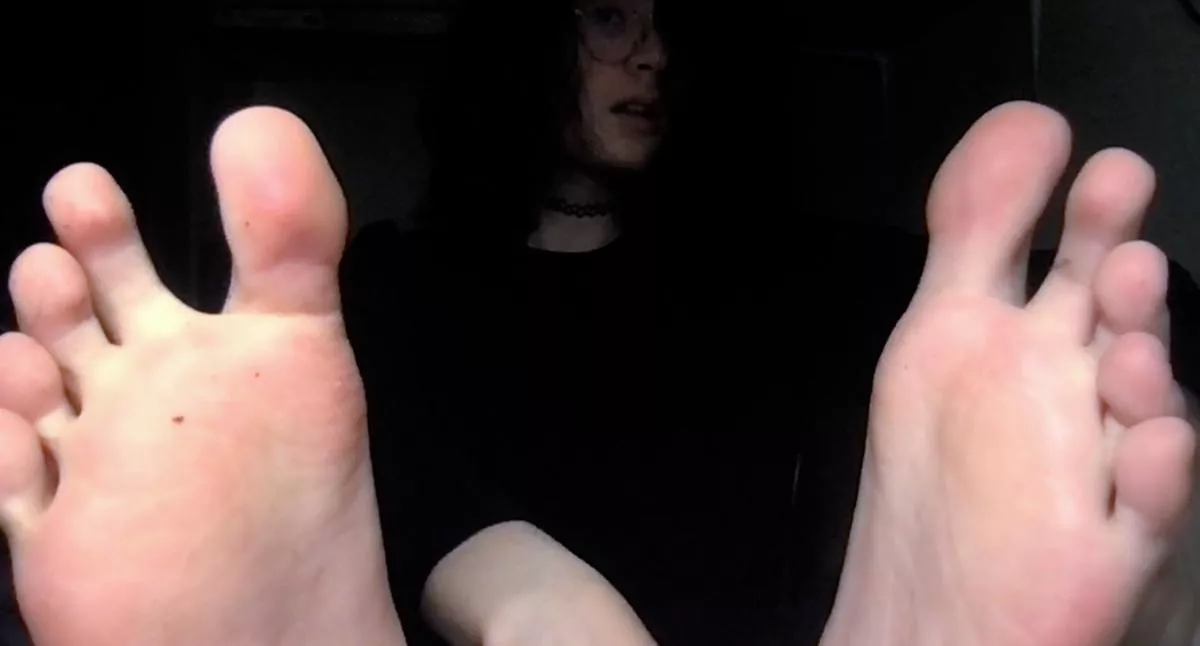Howdy