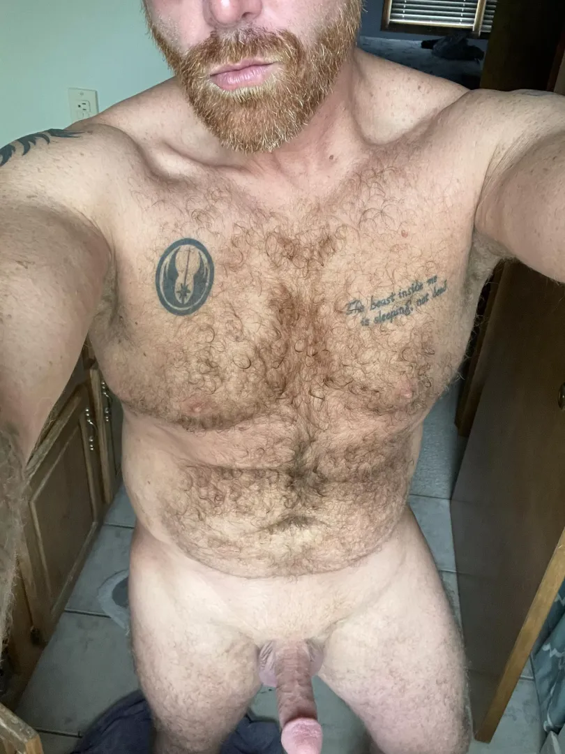 How’s it looking?