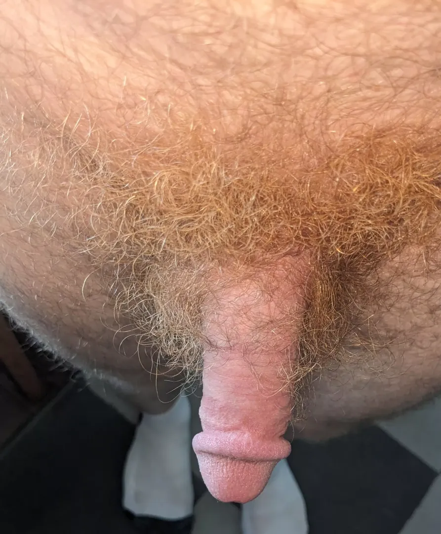 How's the bush?