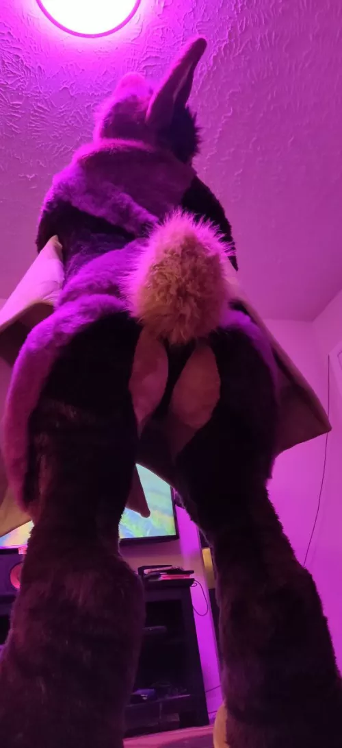 How's the view from down there? 🦇