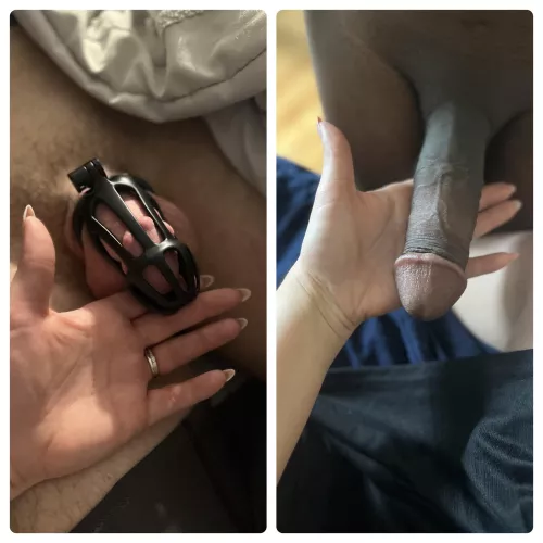 Hubby compared to my regular guy. And the cage is still too big lol