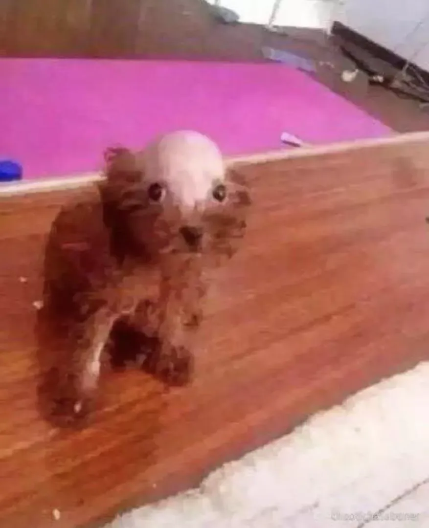 Huh?
