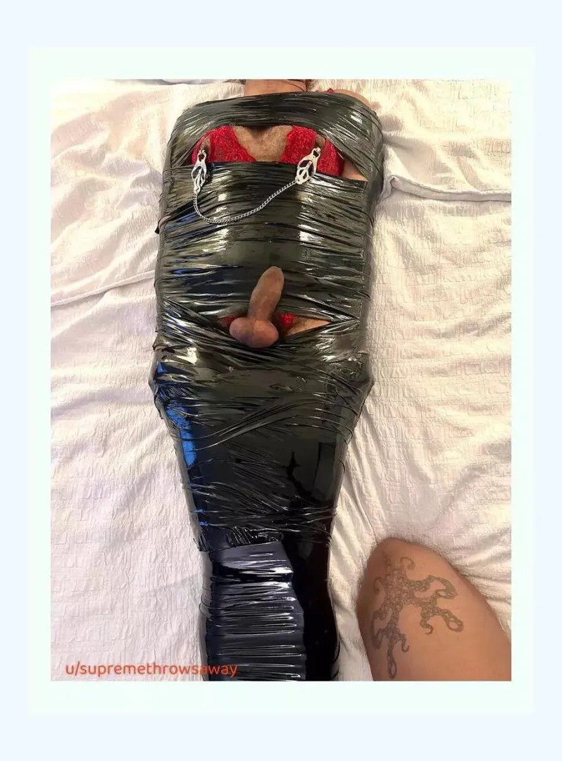Human Dipdo
