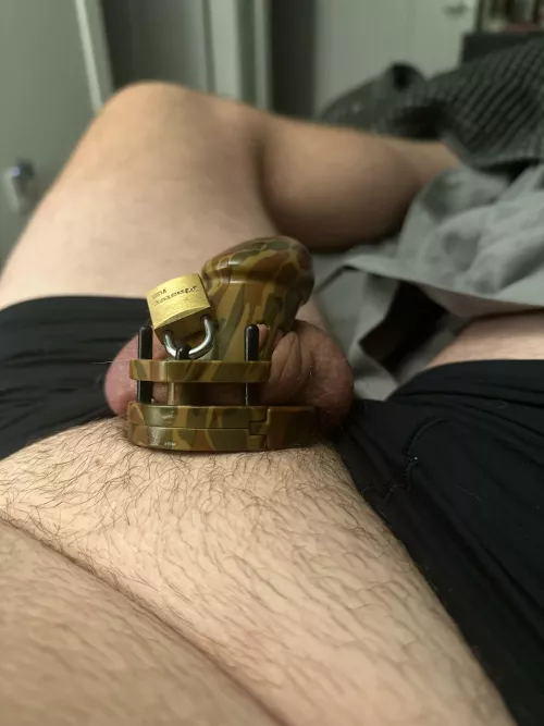 Hunting Season