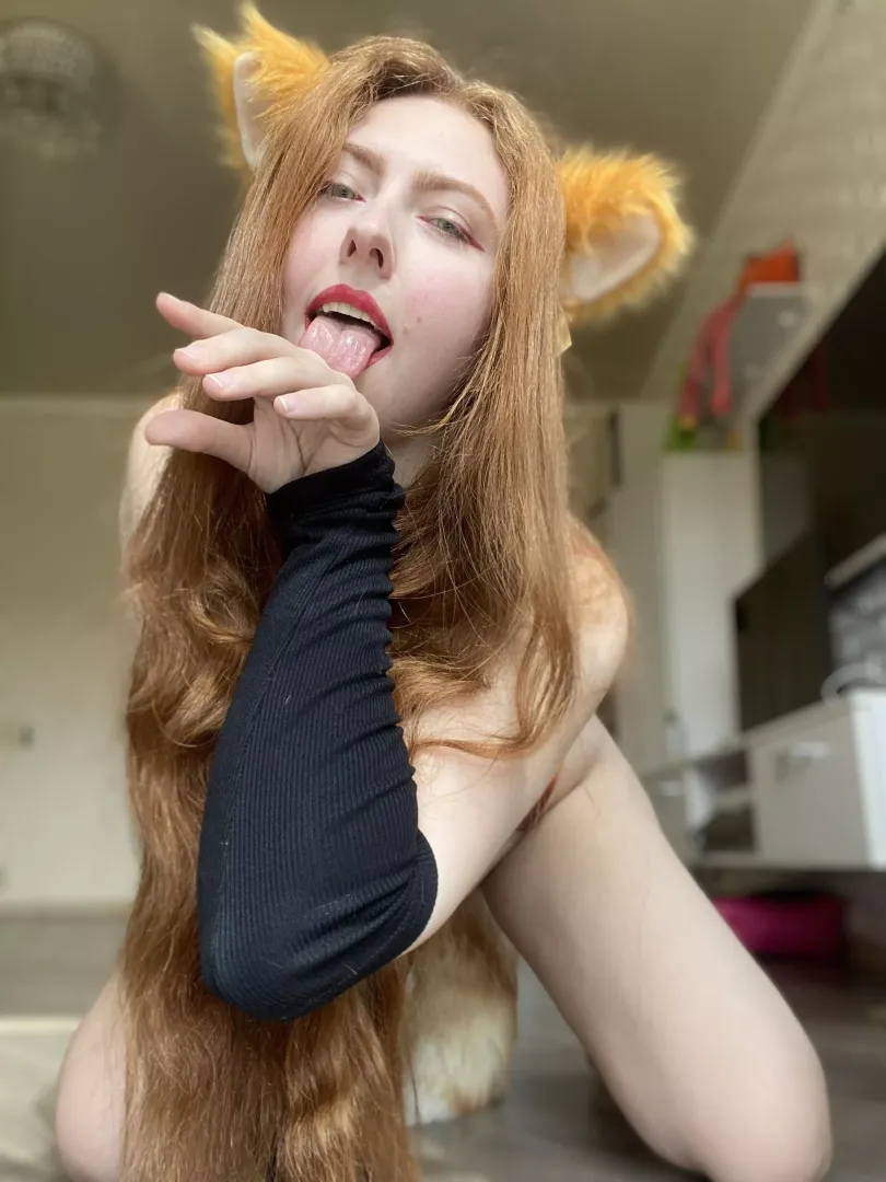 I am a real playful fox