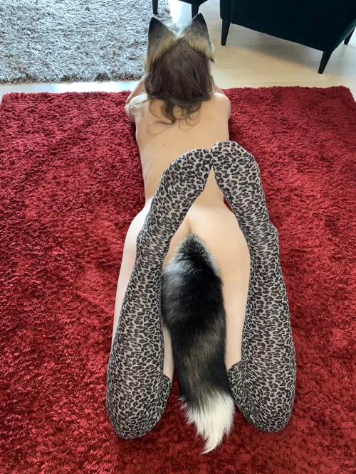 I am free to play with ;)