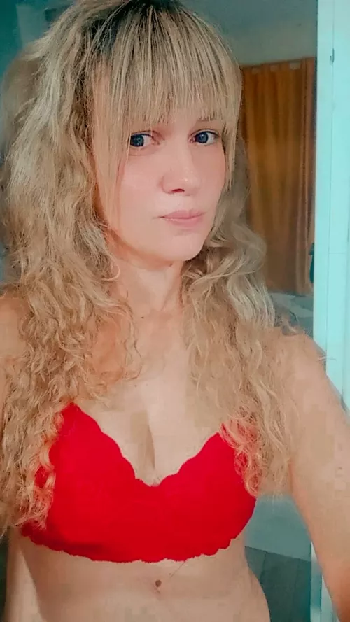 I am what you need this Christmas