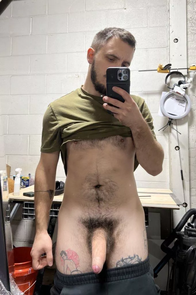 I am your new handyman