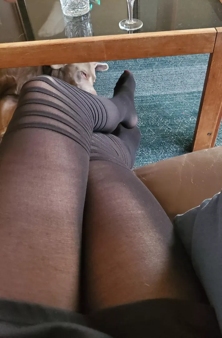 I bet you feel jealous to this dog...