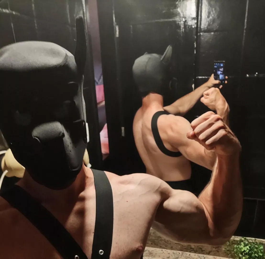 I can be your puppy master
