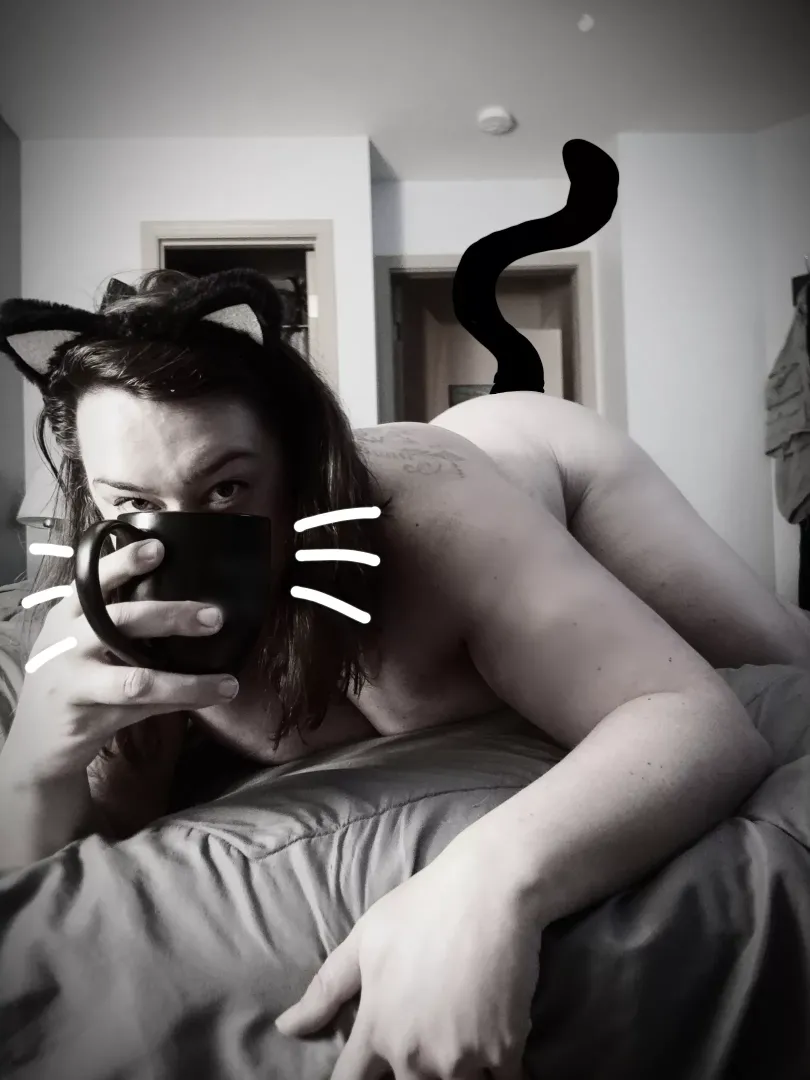 I could be purr-suaded into another cup this Halloween morning 🎃 🐱