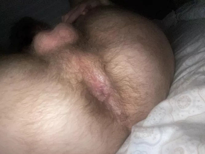 I Don’t Think I’m Hairy Enough For You