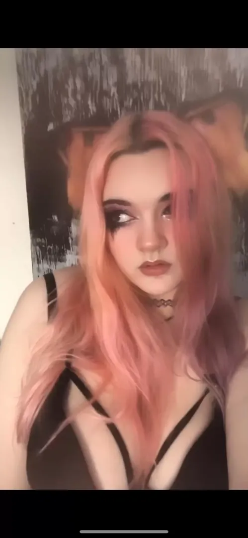 I get so bored 🐱