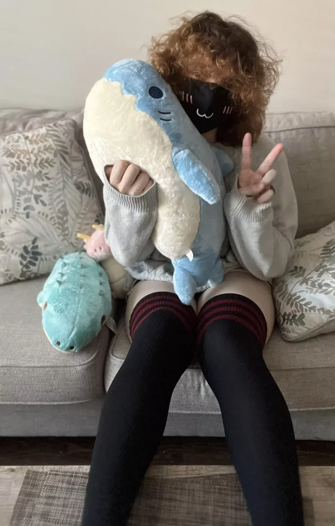I got a shark! :D