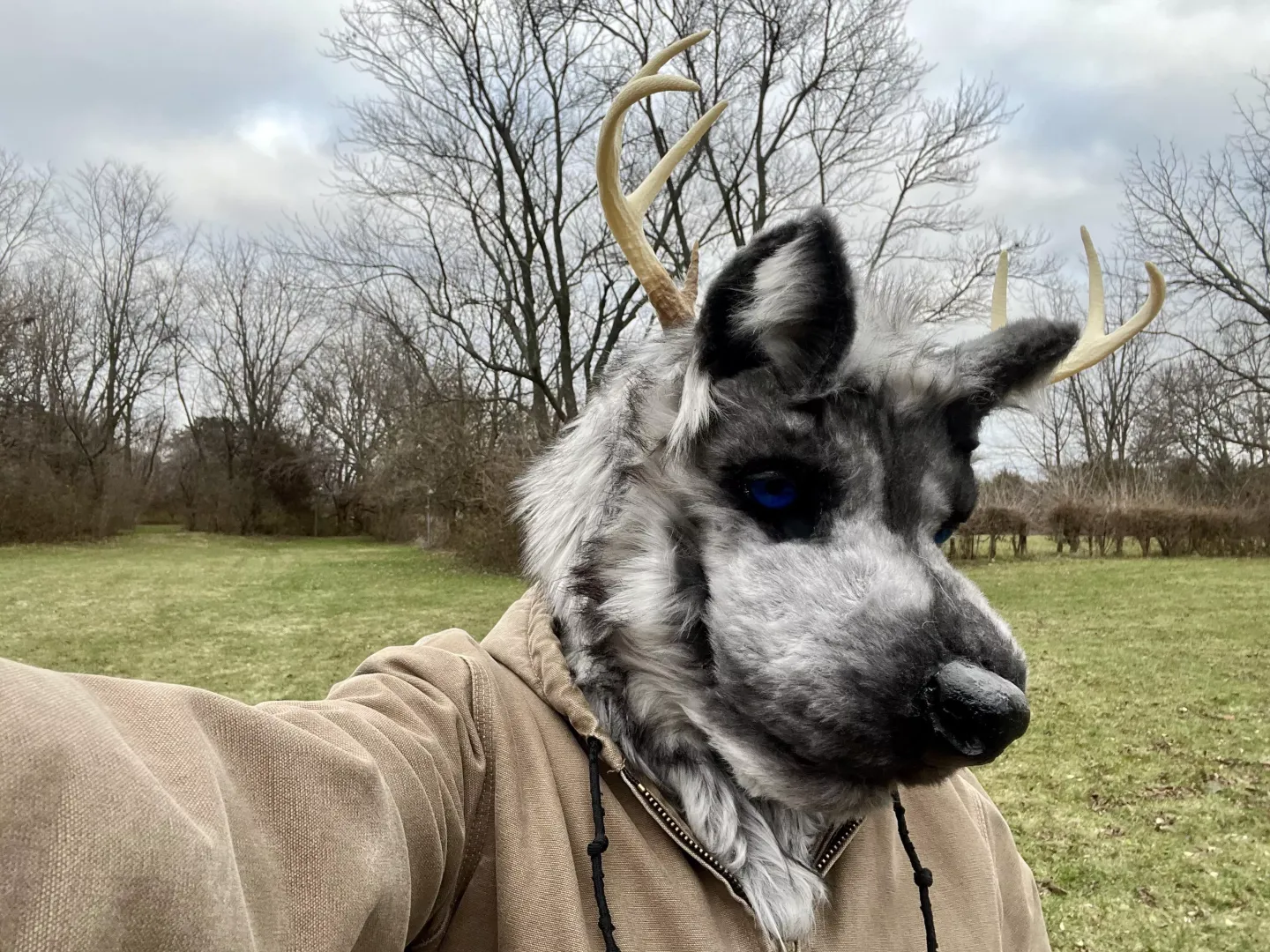 I got some antlers!