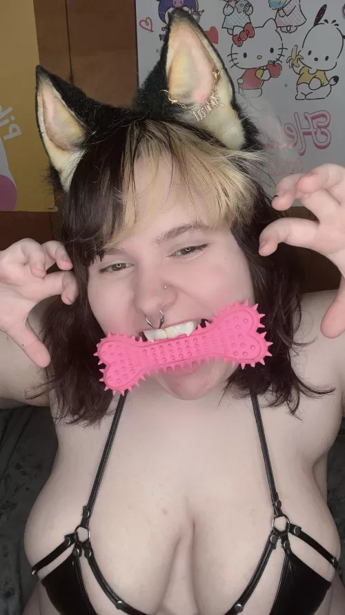 I got the bone!!! I got the bone!!!