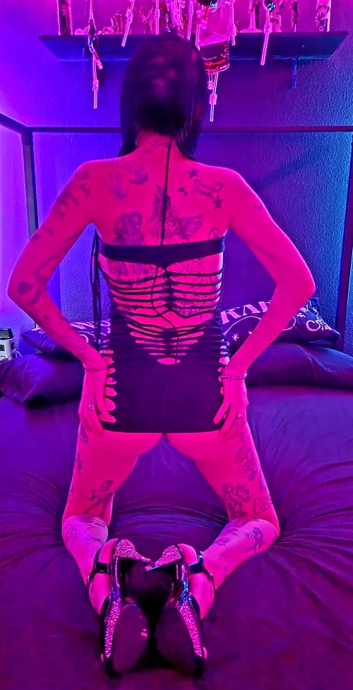I have 1 tattoo.