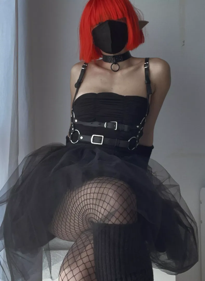 I hear you like mischievous elves... have you asked for one for December?