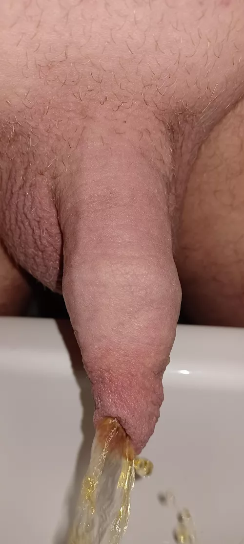 I hope you enjoy my picture 😊