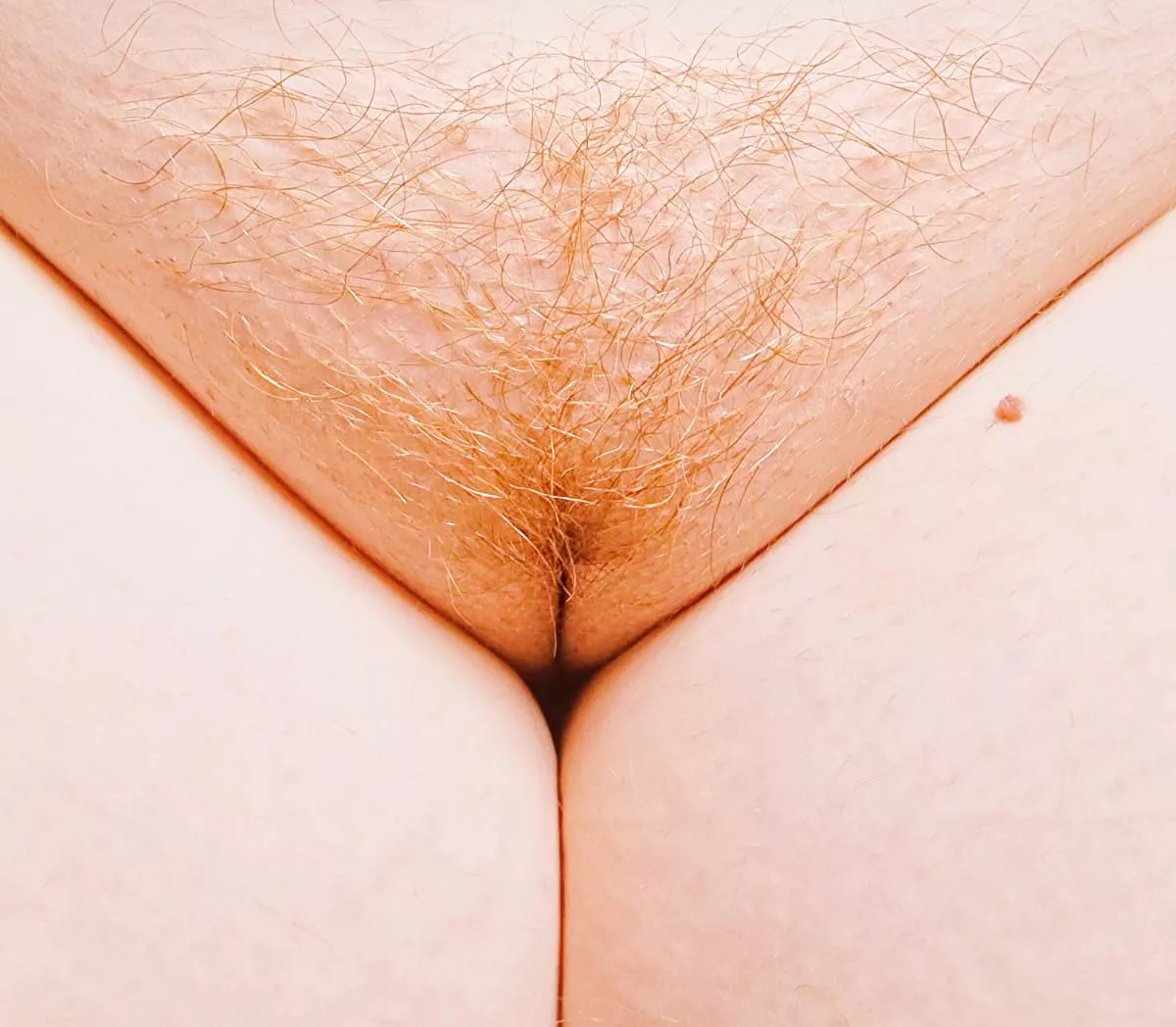 i hope you like my ginger pussy 🐱